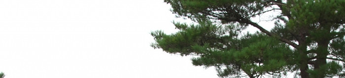 カップルなら露天風呂付き客室!天草でおすすめホテル・旅館8選/熊本