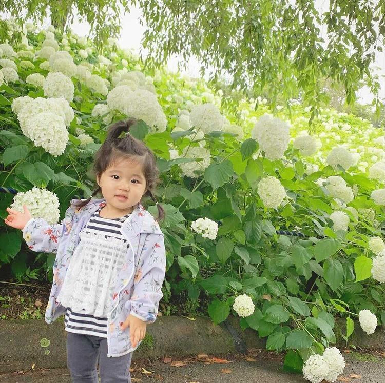 ayustagram.3さんの写真 / 2