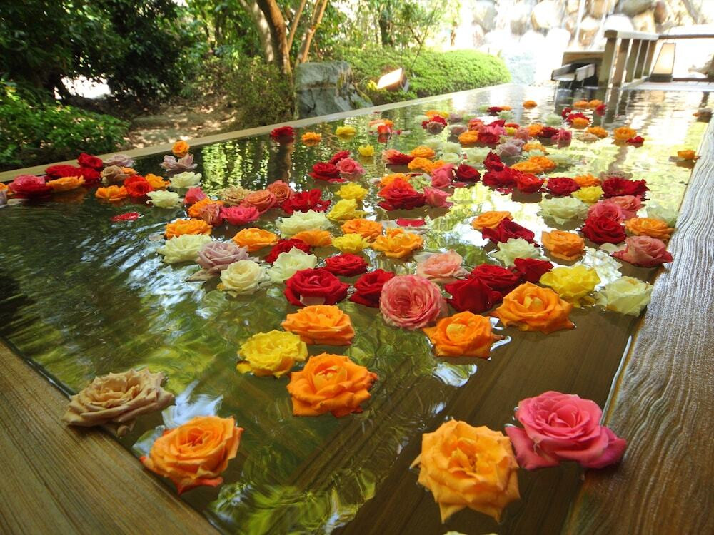 天然ラジウム温泉でゴージャスバラ風呂♪3925998