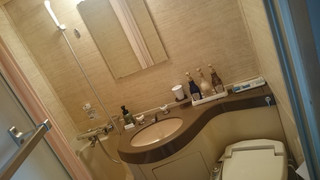 セミダブルルーム (喫煙)