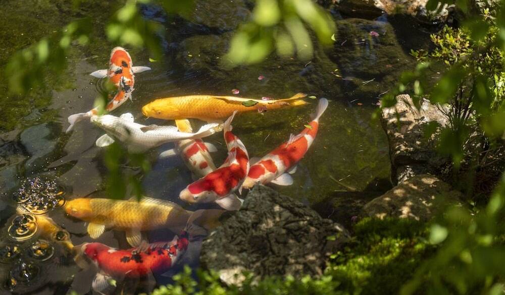 早めのチェックインで
充実のおこもり時間 / 3