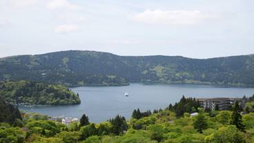客室からの景観① / 8