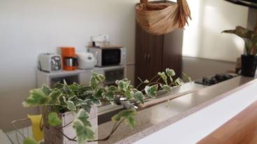 専用簡易キッチン / 6