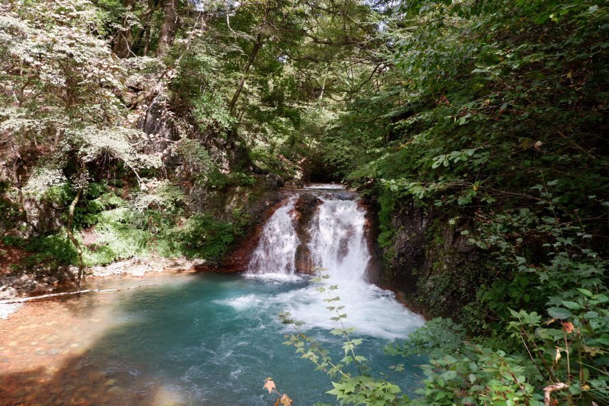 chirijyoさんの写真 / 1