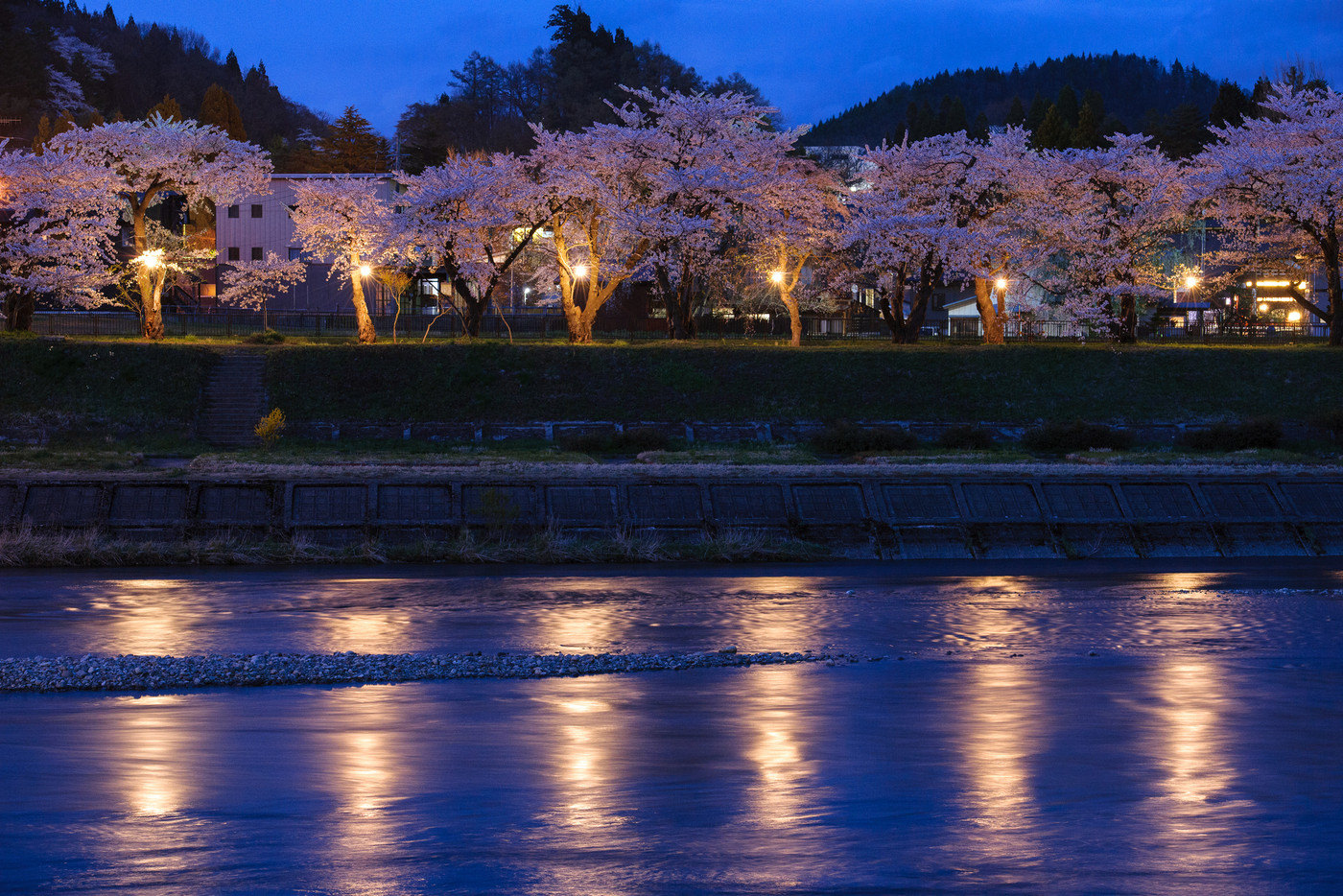 宿泊で幻想的な夜桜まで楽しもう!3439648