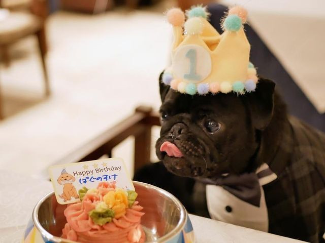 pugnsk3さんの写真 / 1