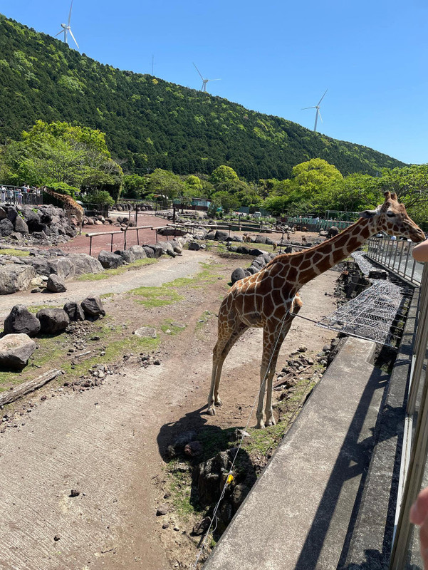 ___miki53___さんの写真 / 1