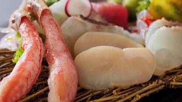 食事・飲み物 / 10