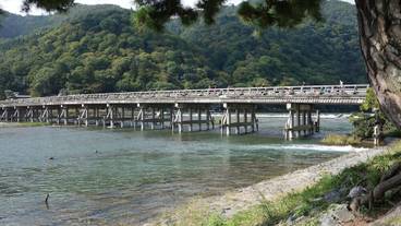 観光スポット / 6