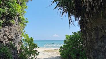 施設からの眺望 / 4