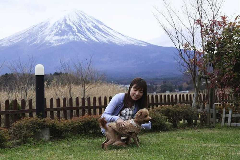 施設からの眺望