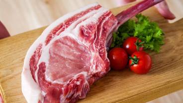 バーベキュー / ピクニック エリア / 32