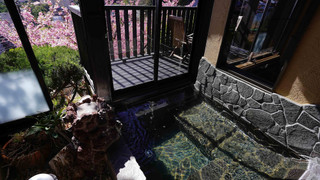 デラックス ダブルルーム バルコニー シービュー