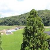 京都 木津温泉 丹後の湯宿 ゑびすや（えびすや）（京都府 旅館） / 5