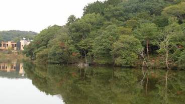 観光スポット / 9