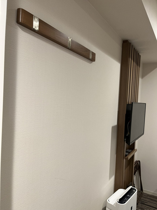 壁にフックがあるだけでハンガーもない…