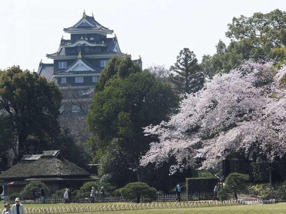施設からの眺望