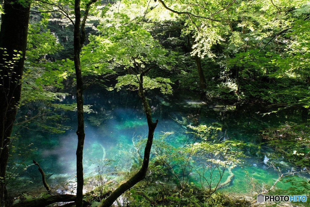 五能線で、日本海側をのんびり旅しよう！3435278