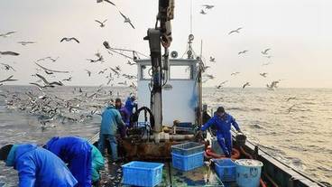 料理の宿　伊豆のうみ（リョウリノヤド イズノウミ） / 1