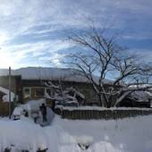 おたるないバックパッカーズホステル杜の樹（北海道 ゲストハウス・ホステル・ドミトリー） / 4