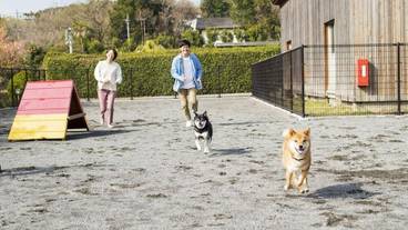 ペット用設備・サービス / 1