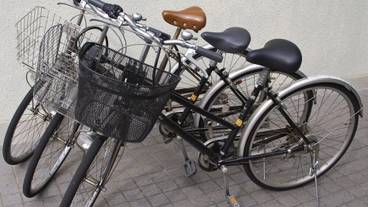 フィットネス設備 / 6