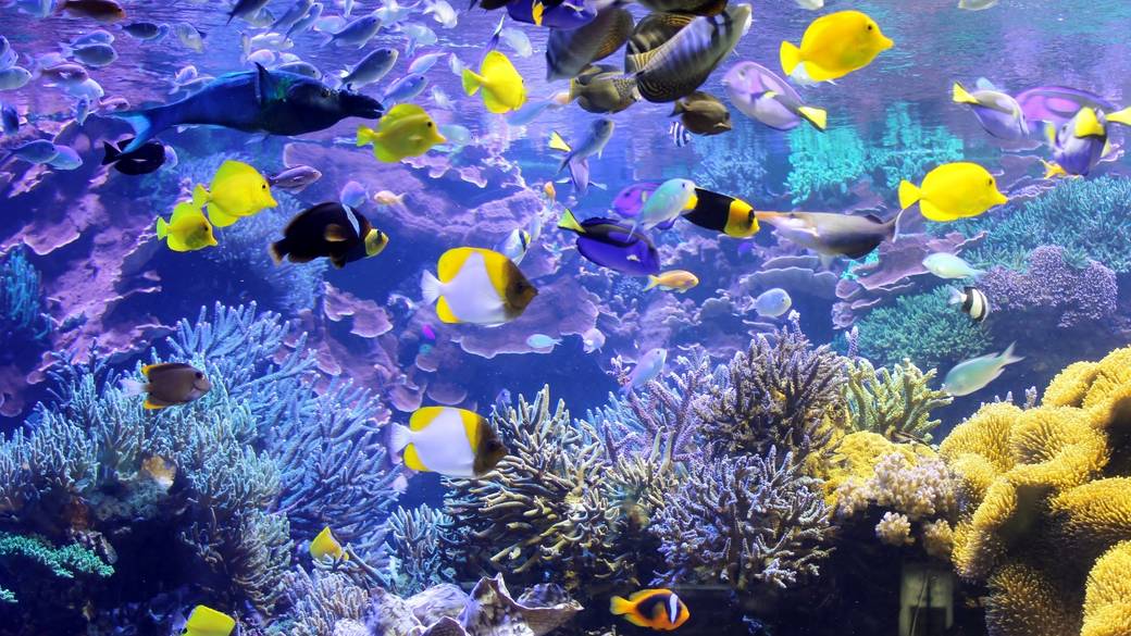 鳥羽水族館② / 2