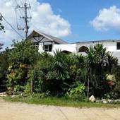 夢有民牧場（沖縄県 コテージ・ロッジ・一棟貸） / 3