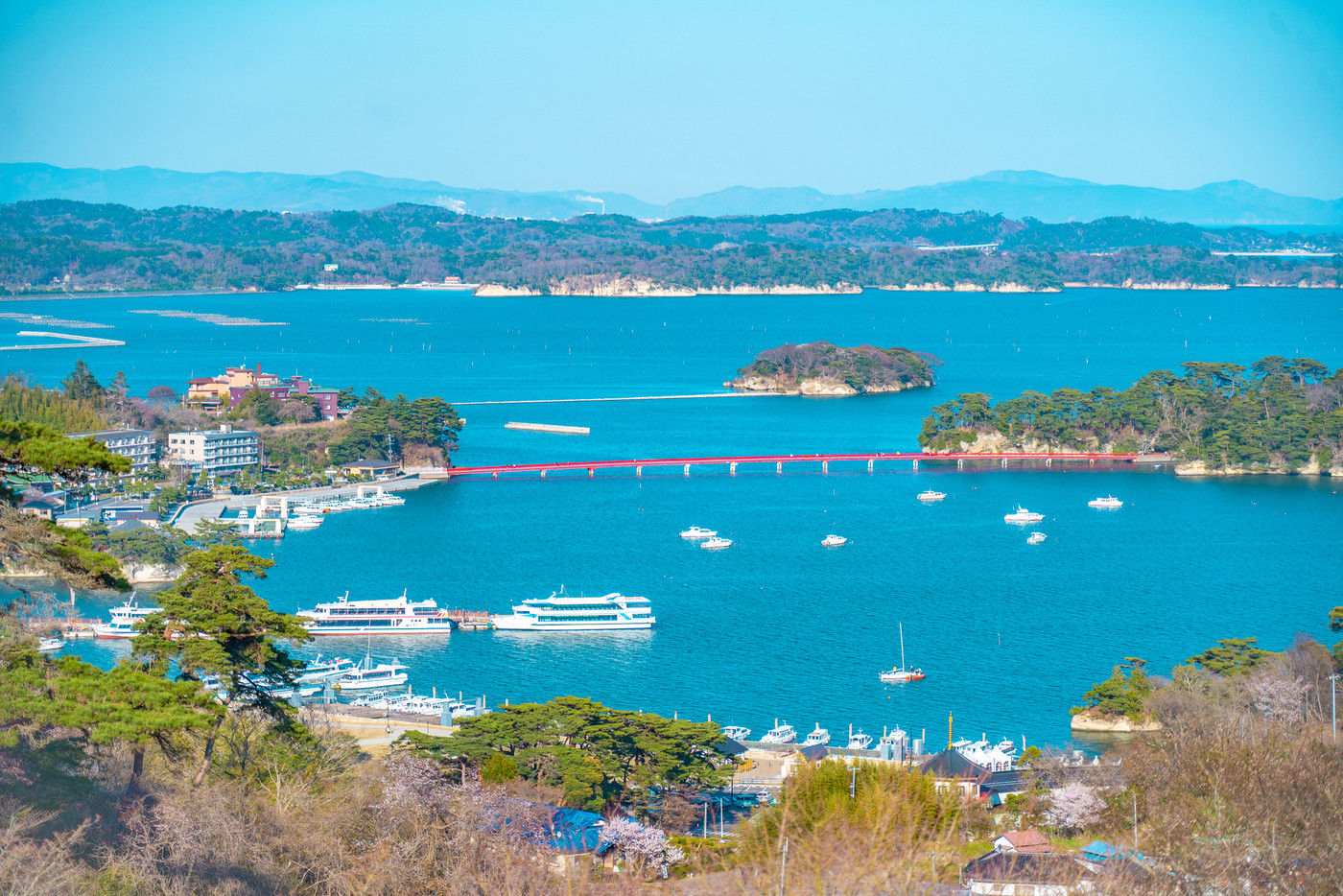 風光明媚な松島で、忙しい日常を忘れてみない?3502729