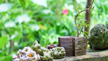 施設からの眺望 / 8