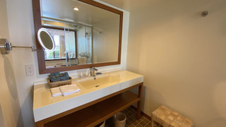 ナチュラルプレミア・グリーンビュー 禁煙（大人3名以上はスタッキングベット追加）