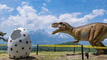 内装の詳細 / 30