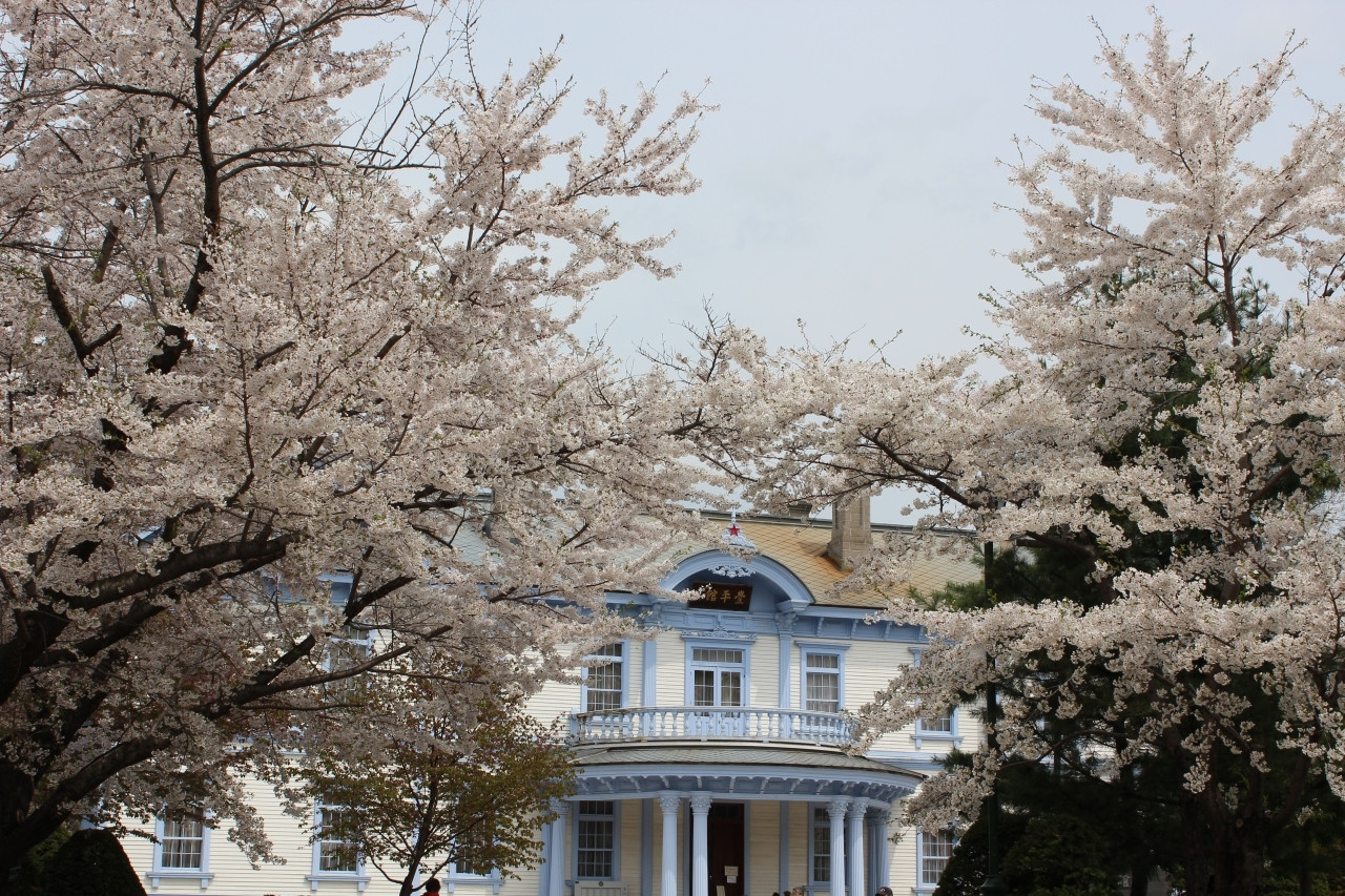 中島公園1557655