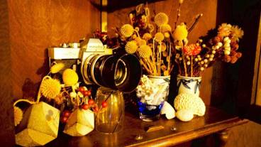 内装の詳細 / 22