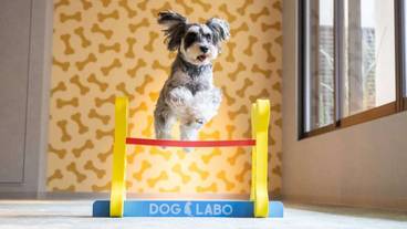 ペット用設備・サービス / 8