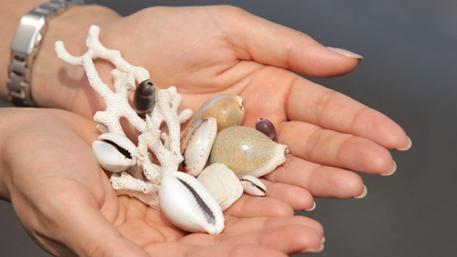 ビーチコーミング