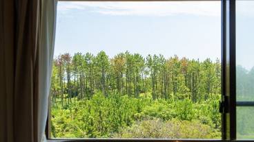 施設からの眺望 / 5