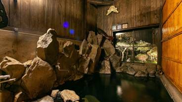 温泉 / 20