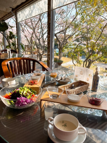 「リゾートホテル モアナコースト」 料理 172351621 