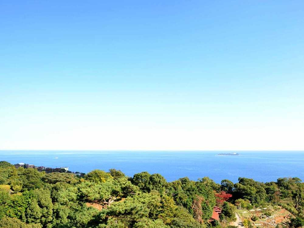 施設からの眺望