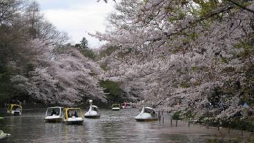 観光スポット / 16