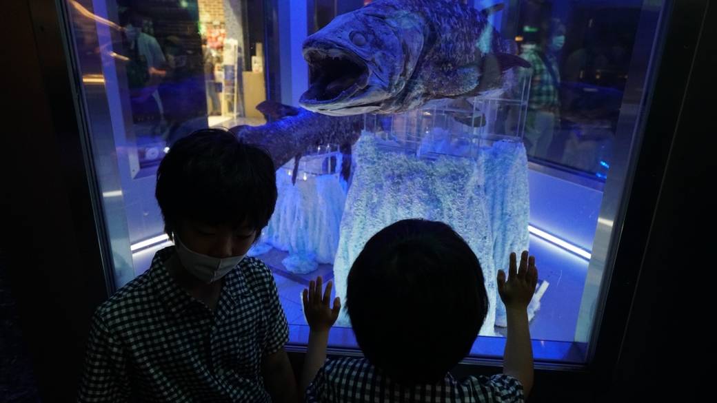 神秘の世界
深海水族館を満喫
 / 3