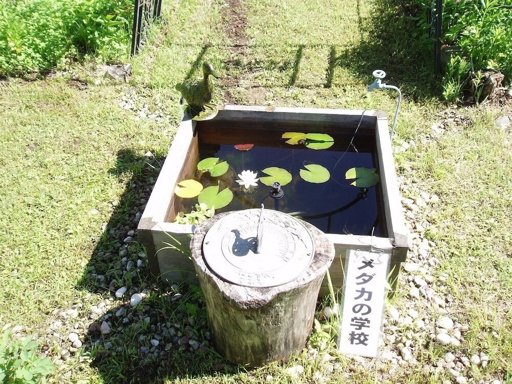 子供用の遊び場 - 屋外