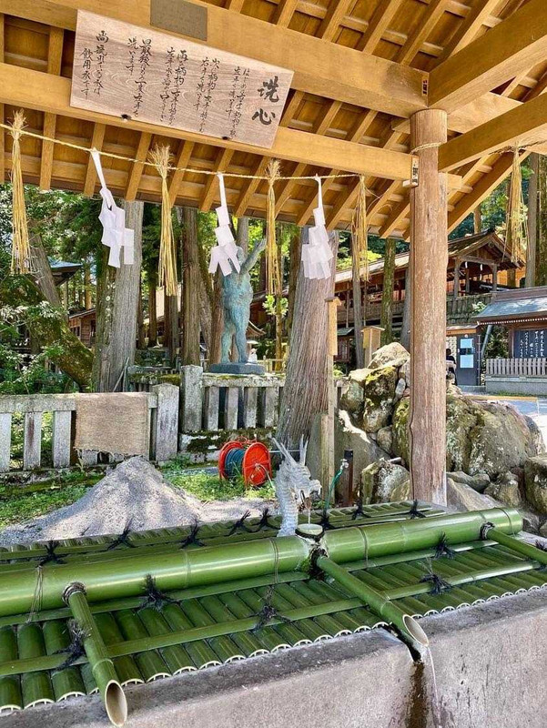 nana____tripさんの写真 / 3