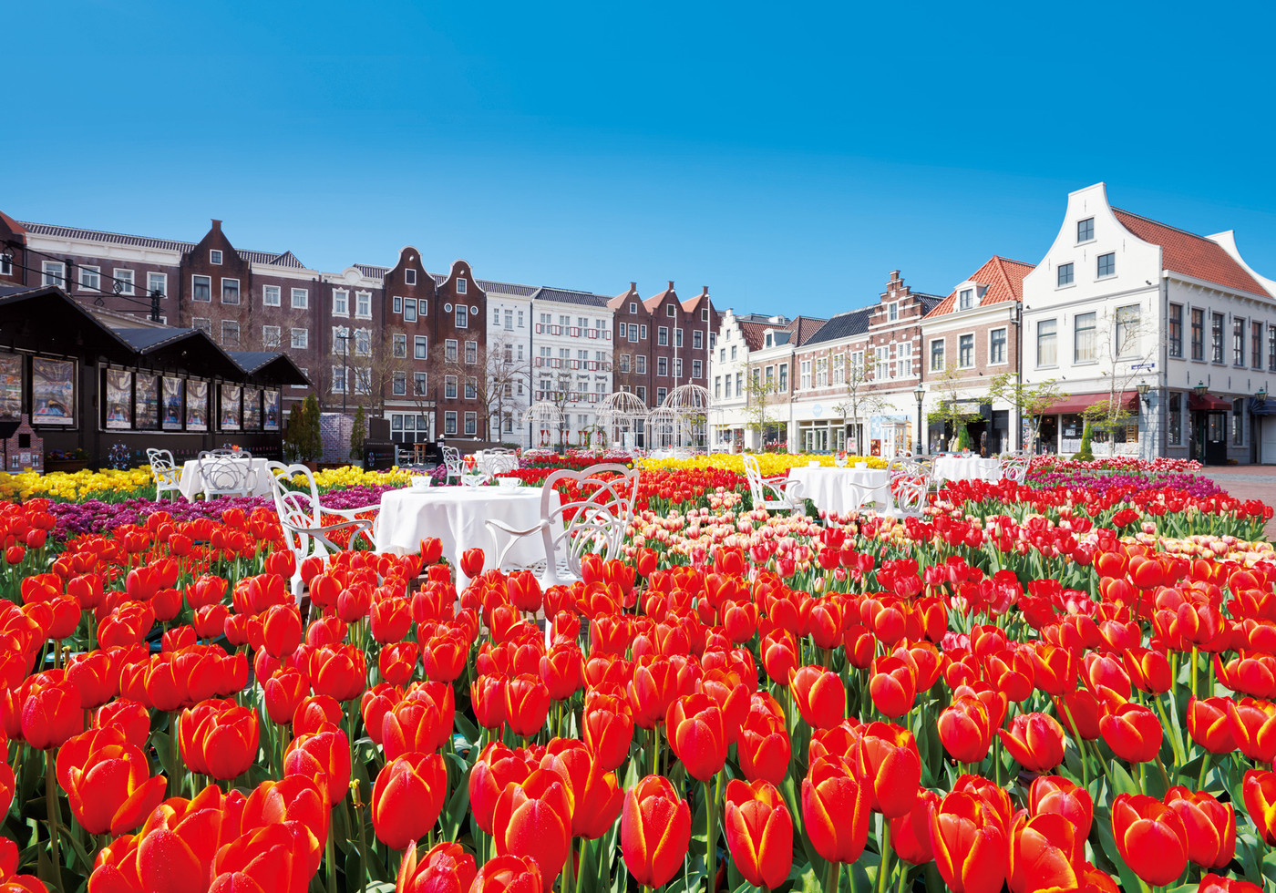 今年は夫婦で “特別な春” が満開のハウステンボスへ！2002765