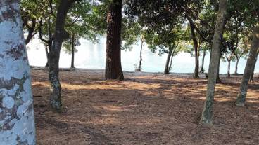 ランド ビュー / 24