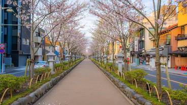 ストリート ビュー / 9