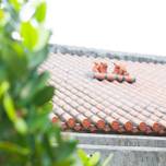 【沖縄・読谷村】「やちむんの里」でお得に楽しく陶器を満喫する旅