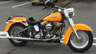 和室　素泊まり