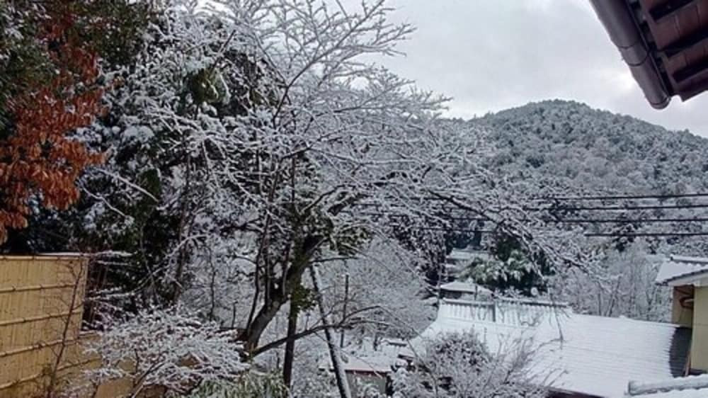 マウンテン ビュー